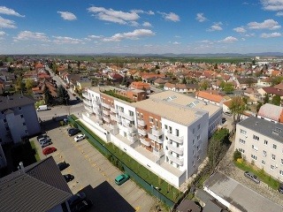 Rigips obúva bežecké topánky