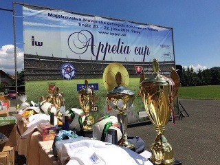 Majstrovstvá Slovenska detských domovov