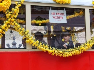 Dvadsiaty ročník Dňa narcisov