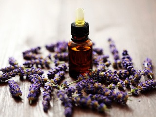 Zber levandule začína: Vyrobte