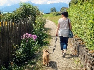 Do bežnej rutiny pridala