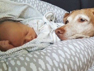 Toto bábätko má za