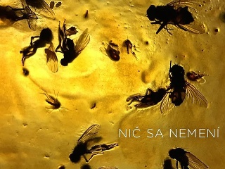 Nič sa nemení: Letný