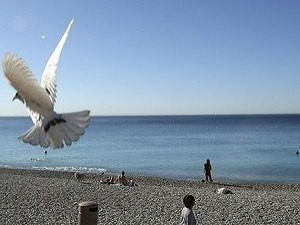 Teroristické útoky ako ekonomické