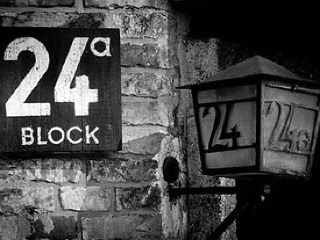 Autobiografický príbeh čakal na