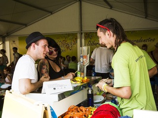 ENERGIA pred festivalom, ENERGIA