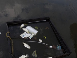 Môže byť kapitalizmus zelený?