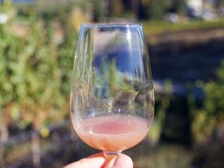 Vinobrania sa nezadržateľne blížia.