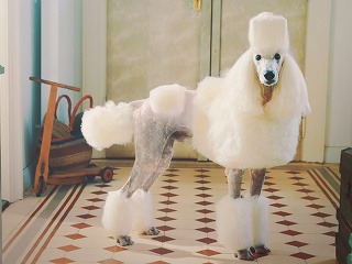 Pripravte sa na hranaté