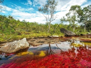 Rieka Caño Cristales 