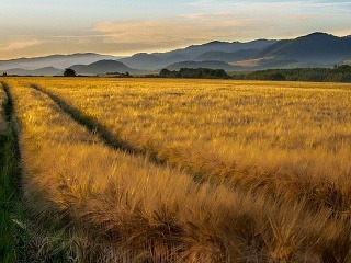 Najkrajšie FOTO Prešovského kraja