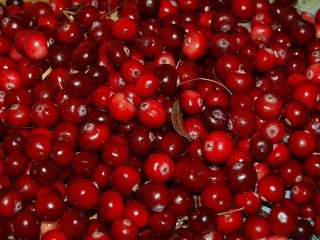 Brusnice nemajú v skutočnosti