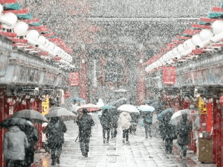 Sneh v Tokiu