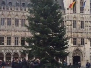 Vianočný stromček v Bruseli.