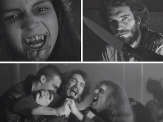 Hit Davida Kollera ako