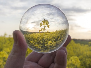 Rafinovaný repkový olej a