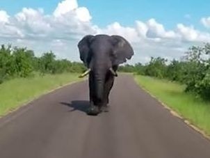 Trojica urobila fatálnu chybu: