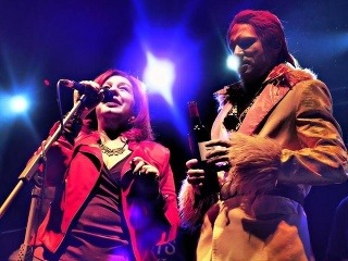 Katarina Korcek: Bowie mi