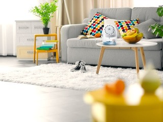 Opadávanie omietky, plesnivé steny