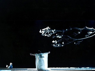 Pucciniho Madama Butterfly mieri