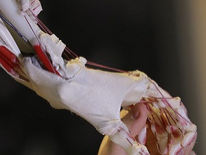 Keď nám roboti vezmú