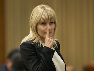 Rumunská politička Elena Udreová