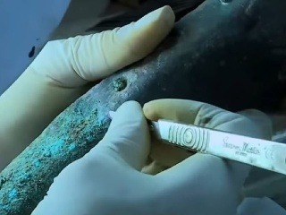 VIDEO Archeológovia v Egypte