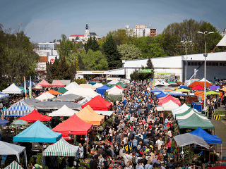 Záhada najkrajšej záhrady odhalená!