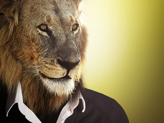 Akým zvieraťom by ste