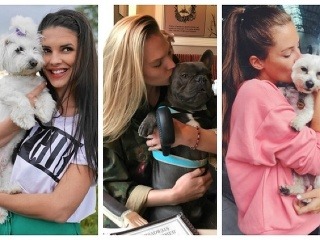 Vieme akými psíkmi sa