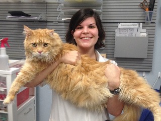 Zamestnanie, ktoré by ste