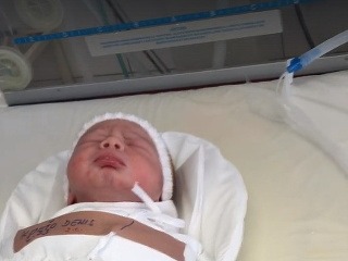Malý Denisko sa narodil len pred pár dňami. 