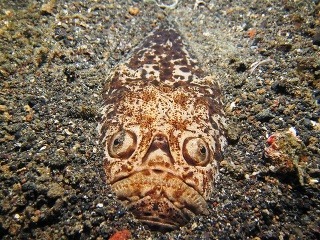 Na dovolenke pri mori