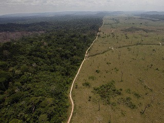 Amazónia je zničená: Krajiny