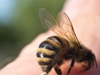 Alergická reakcia: Vystriekajte ústa