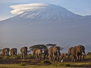 V pozadí najvyšší africký