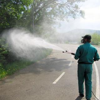 Bratislava začne hubiť komáre