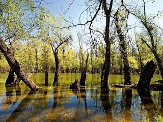 Národný park Kopački rit,