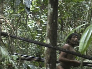 Des v Amazonskom pralese!