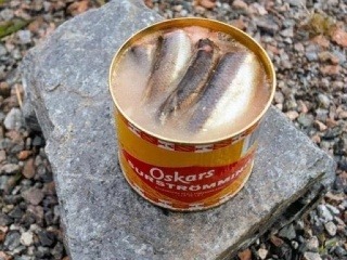 Boli sme vo Švédsku