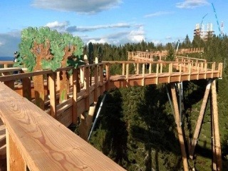 FOTO Prechádzka korunami stromov