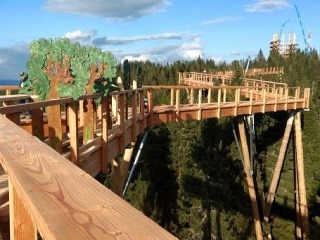 Prechádzka korunami stromov