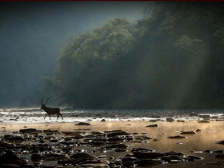 VIDEO Slovenská príroda očami