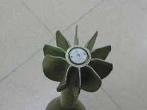 Keď rast zaostáva, stačí