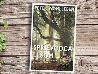 Fascinujúci svet lesov