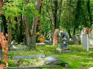 FOTO Vo Zvolene vznikol