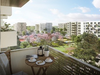 OVOCNÉ SADY Trnávka: Konečne