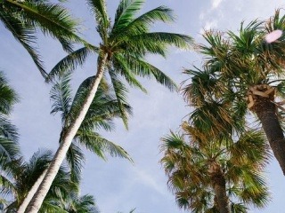 FOTO Slovenský raper na