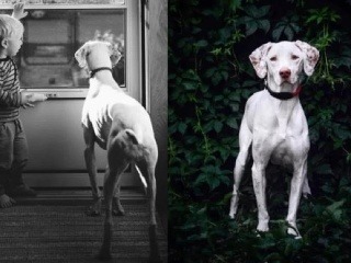 Príbeh, ktorý vás dojme