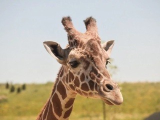 Spoznajte prírodu a svet